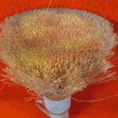 Colors of hemp of wisk broom