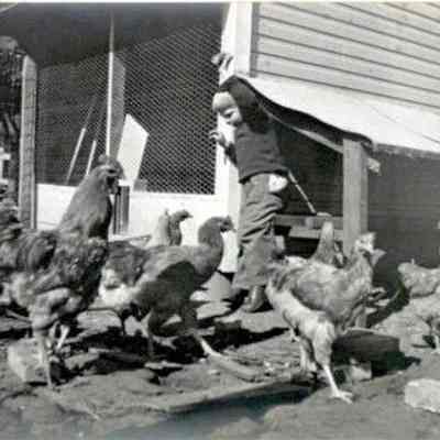 Photograph, J.A. Kastein Jr., Boy and Chickens