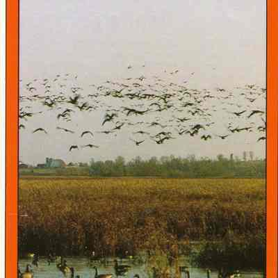Pamphlet, Discover Waupun, Wild Goose Center
