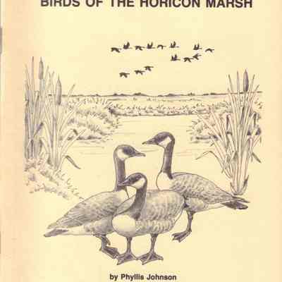 Birds of Horicon Marsh