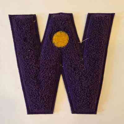 Letter Award, Baseball, Donald Remmel, Waupun High School, Purple and Gold W