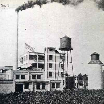 Postcard, Canning, Canning Co. Plant No. 1.