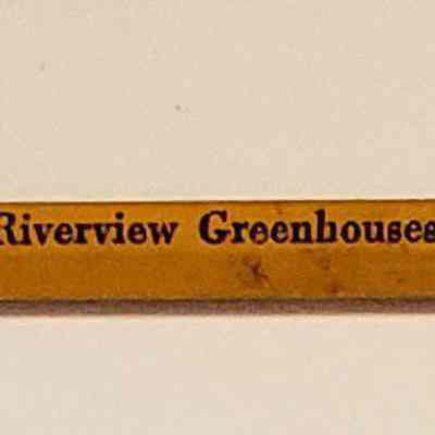 Pencil, Riverview Greenhouses