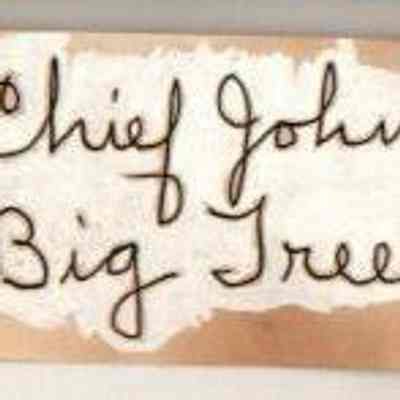 Signature, Chief John Big Tree