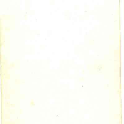 Back of photo of Gruenwald boys