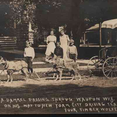 Postcard, Prof J A Damrel, Team of Timber Wolves