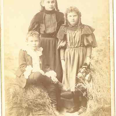 Cabinet Card, Brooks, Schultz Family