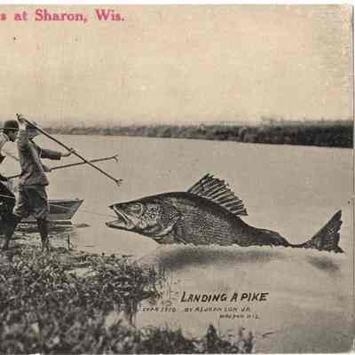 Postcard