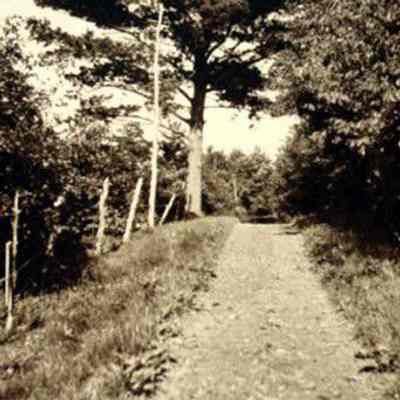 Photograph, J.A. Kastein Jr., Rural Scene
