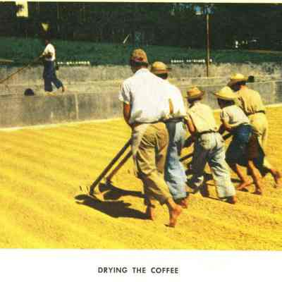 Coffee The Story of a Good Neighbor Product