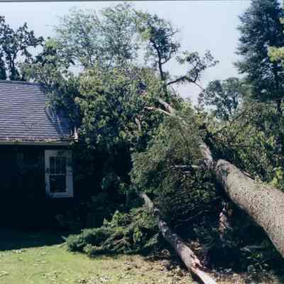 Photograph, Tornado Damage, June, 2004