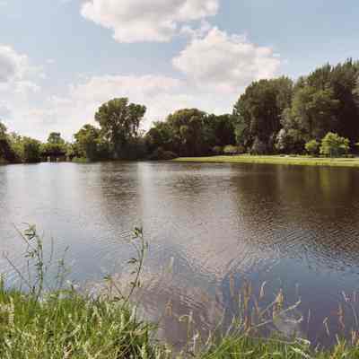 Photograph, Mill Pond, Sense of Place, Charles Osteen