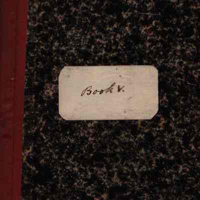 Diary, Book V
