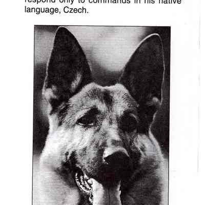 Waupun Canine Unit.