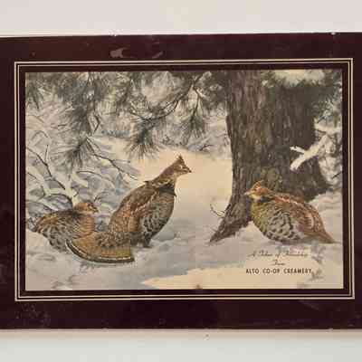 Picture, Framed, Glass, Alto Co-Op Creamery