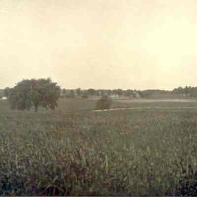 Photograph, J.A. Kastein Jr., Farm Field