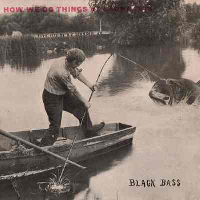 Postcard Black Bass