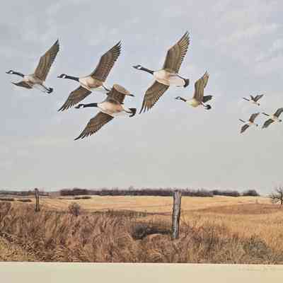Print, Marsh, Geese, William Byron