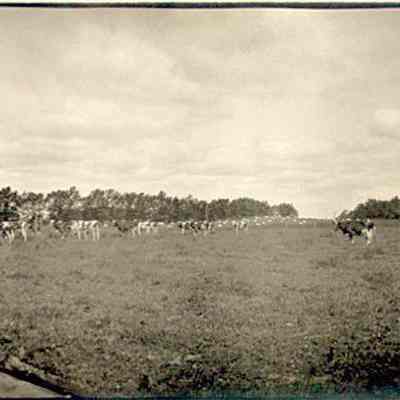 Photograph, J.A. Kastein Jr., Rural Scene