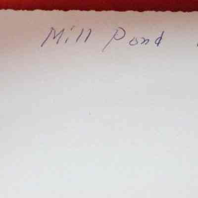 Back of photo of Mill Pond