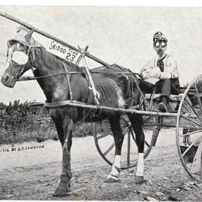 Postcard 23 Skidoo
