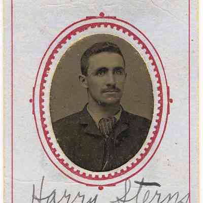 Cabinet Portrait, Harry Sterns