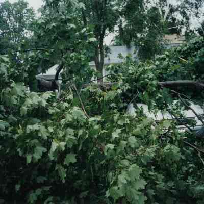 2004 Tornado.