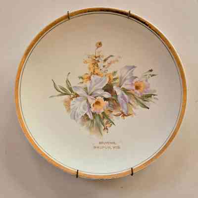 Plate, Waupun Souvenir, Floral Pattern