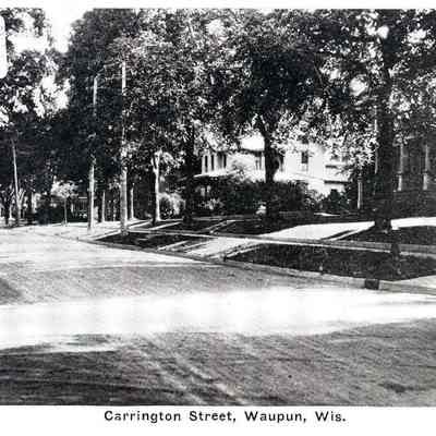 Postcard, Houses, Carrington St.
