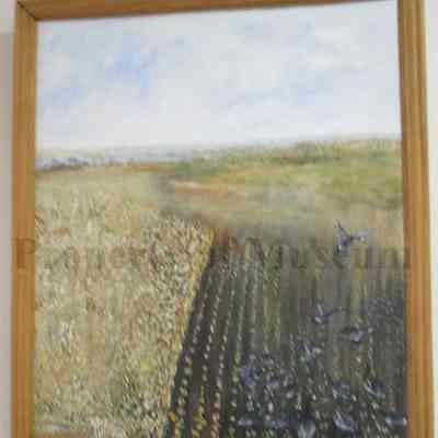 Horicon Marsh: Origformat: Other