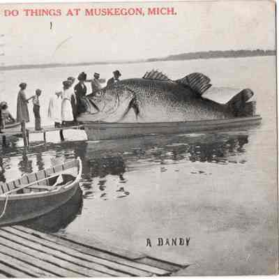 Postcard