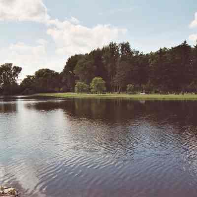 Photograph, Mill Pond, Cemtery, Sense of Place, Charles Osteen