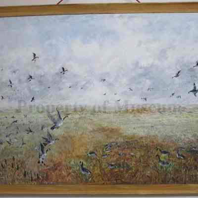 Horicon Marsh: Origformat: Other