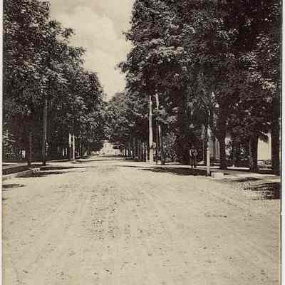 Postcard, Houses, Carrington