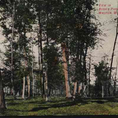 Postcard, Parks, Bush's, Fond du Lac County Park