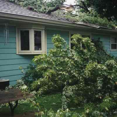2004 Tornado.
