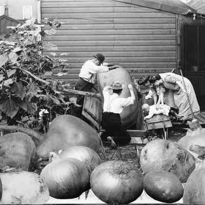 Will it go in?, Photo by Alfred Stanley Johnson