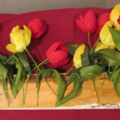 Plantar (flower box, back)