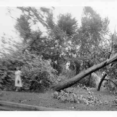 1953 Tornado.
