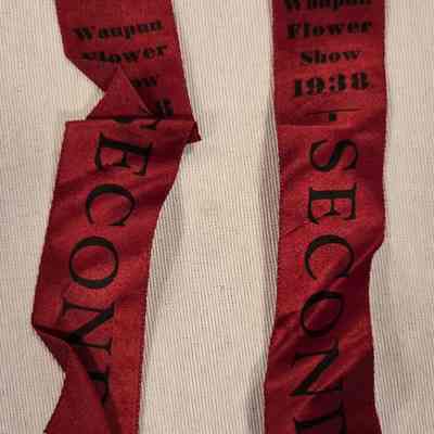 Ribbons, Waupun Flower Show, 1938, Second Place