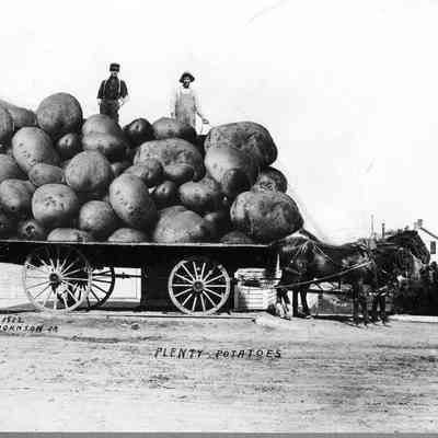 Plenty Potatoes, Photo by Alfred Stanley Johnson