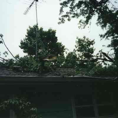 2004 Tornado.