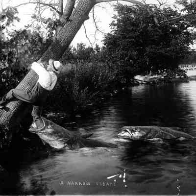 A Narrow Escape, Photo by Alfred Stanley Johnson