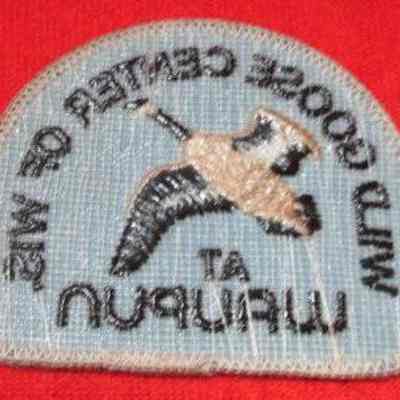 back of the patch