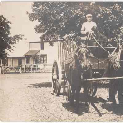 Postcard, Team of Horses and Wagon