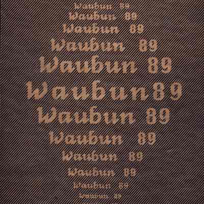 Waubun 1989 (Waupun H.S yearbook)