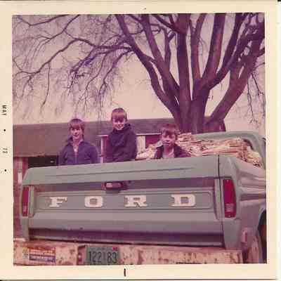 Photo of Weeping Willow Paper Drive