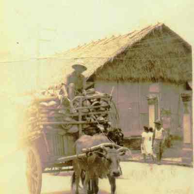 Native on a wagon.