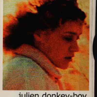 DVD, Julien Donkey-Boy, Tom Mullica