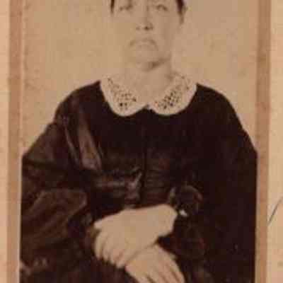 Cabinet Card, Johnson, Small